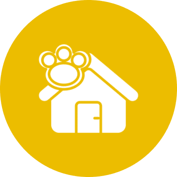 Home Boarding Experience