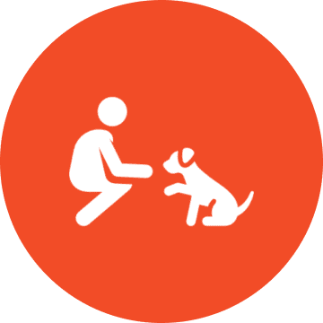 Pet Sitting Services