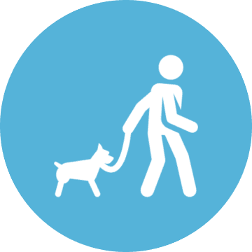 Dog Walking Services